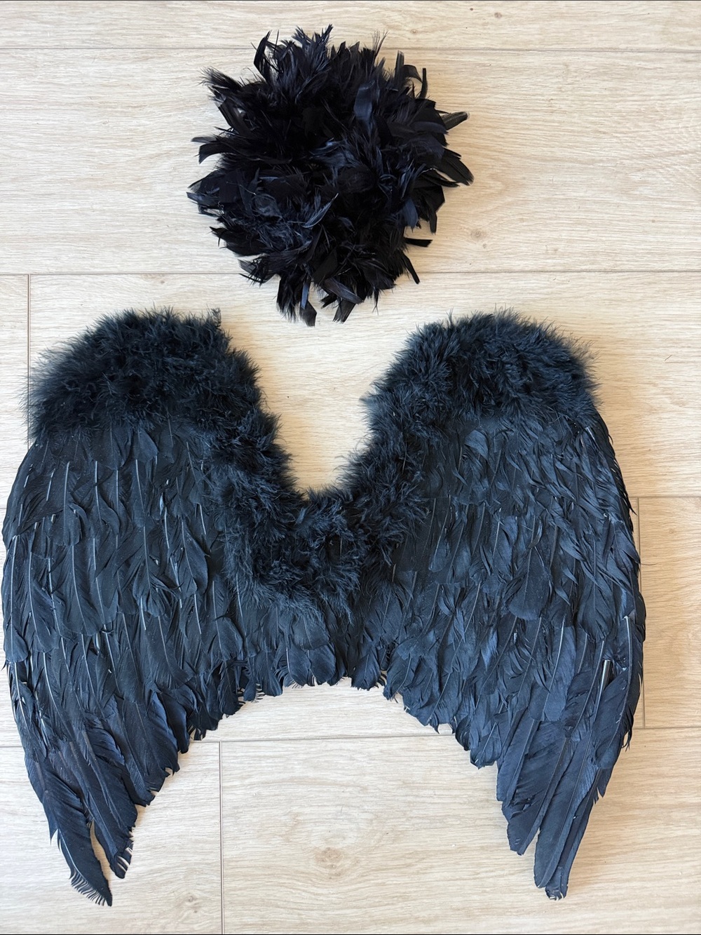 Black Feather Dark Angel Wings and Halo Costume